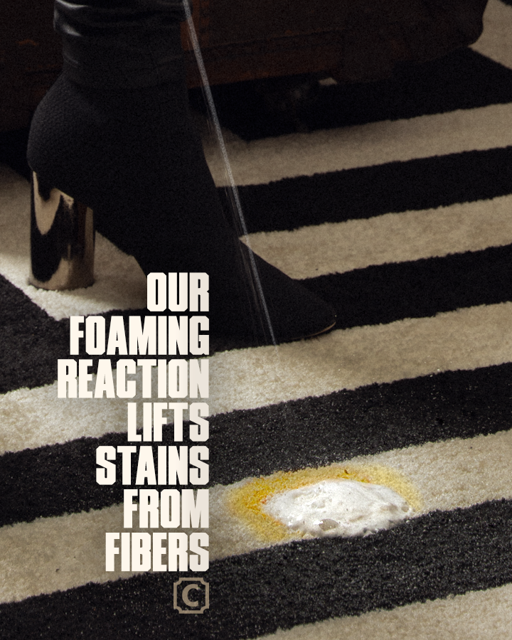 Pro Series Point & Spray Stain Remover