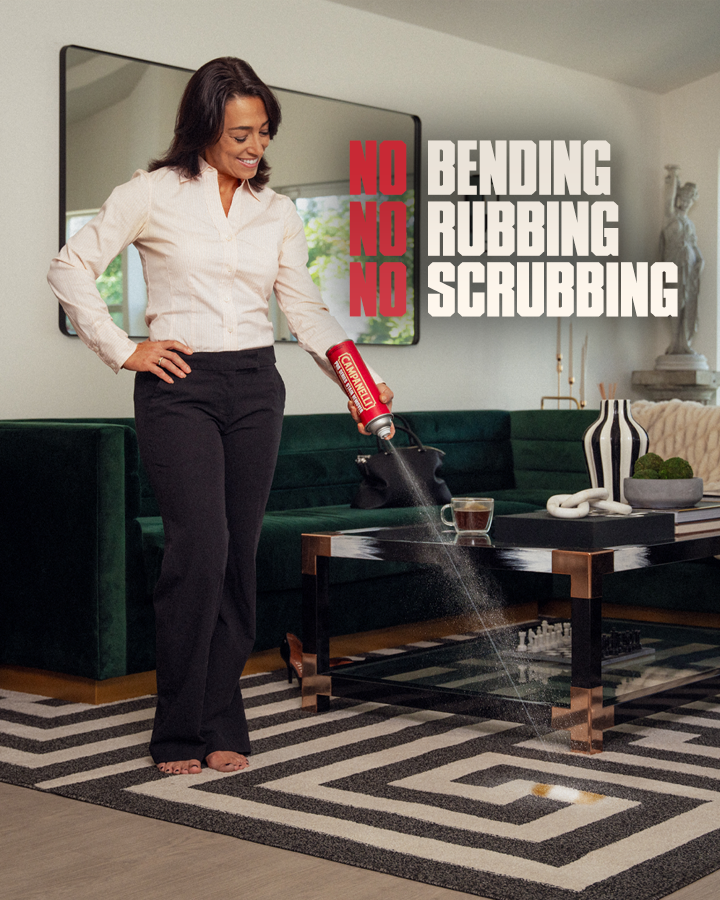 Pro Series Point & Spray Stain Remover